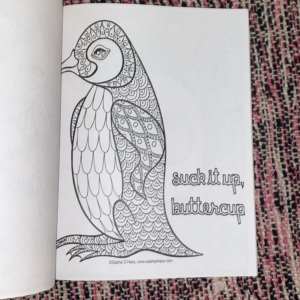 Adult Coloring Books - Picture 9 of 10